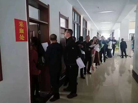 网站44.jpg