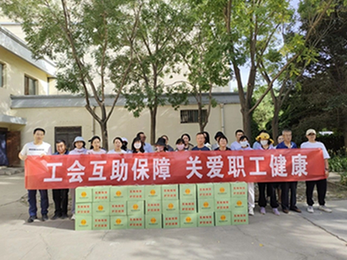 网站44.jpg
