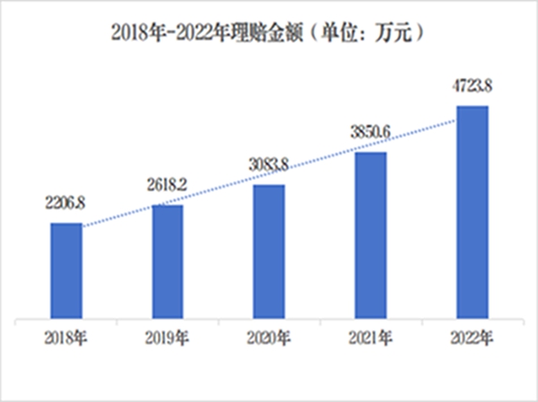 网站25.jpg
